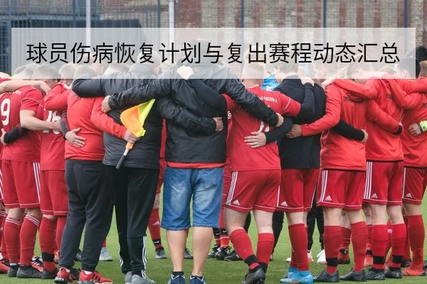 球员伤病恢复计划与复出赛程动态汇总